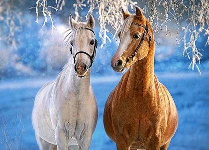 Пъзел 260 ел. В-27378-1 The Winter Horses