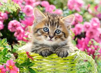 Пъзел 100 ел. B-111039 Kitten in Flower Garden