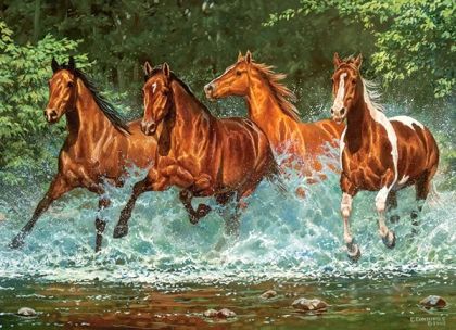 Пъзел CASTORLAND 300 ел. В- 030361 Cascade Run