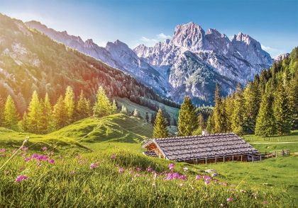пъзел CASTORLAND 500 ел. B-53360 Summer in the Alps