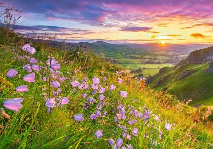 Пъзел CASTORLAND 500 ел. В-53681 Harebells at Sunrise