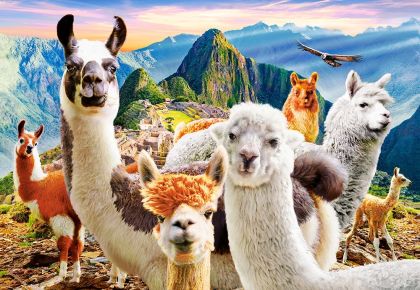 Пъзел Castorland 1000 ел. C-104758-2 Llamas Selfie