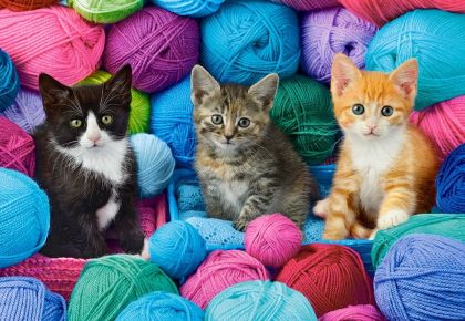 Пъзел Castorland 1000 ел. C-104796-2 Kittens in Yarn Store