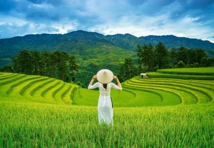 Пъзел Castorland 1000 ел. C-105052-2 Rice Fields in Vietnam