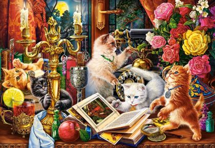 Пъзел Castorland 1000 ел. C-104857-2 Wizard Kittens