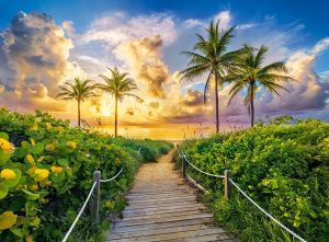 Пъзел CASTORLAND 3000 ел Colorful Sunrise in Miami, 