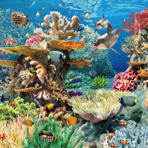 Cherry Pazzi Пъзел 500 ел Leeving Reef