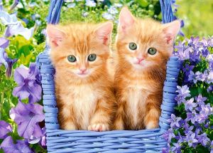 Пъзел 60 ел. В-066247-1 Ginger Kittens