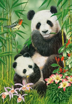 Пъзел Castorland 1000 ел. C-104987-2 Panda Brunch