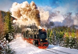Пъзел Castorland 1000 ел. С-103409-2 Stream train