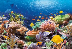 Пъзел Castorland 1000 ел.  С-101511-2 Coral Reef