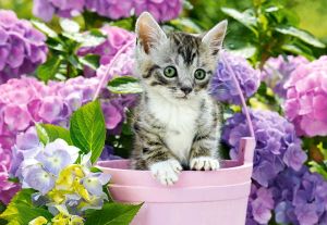 Пъзел Castorland 1500 ел. C-152001-2 Kitten in Basket